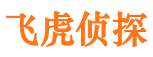 定结市私家侦探公司